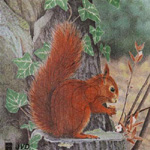 Wiewiór, wielkość 25x26cm.
