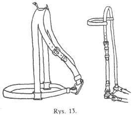 Rys.13
