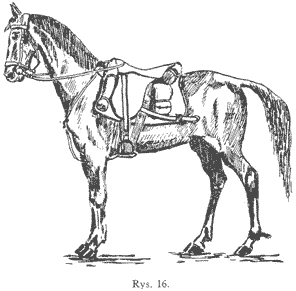 Rys.16