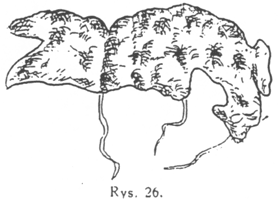 Rys. 26.