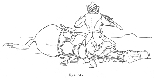Rys. 34c.