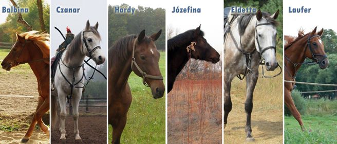 Czworono�na c��� zespo�u AMM Archery.